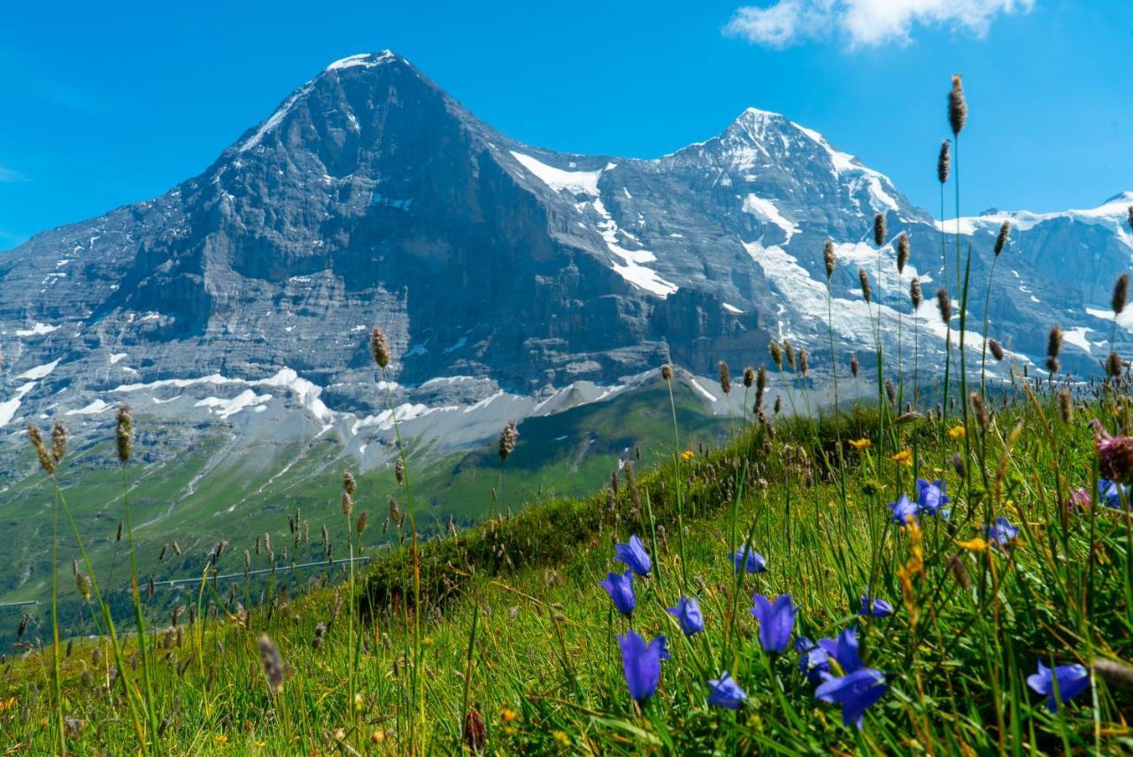 Chalet Acheregg Wengen Luaran gambar